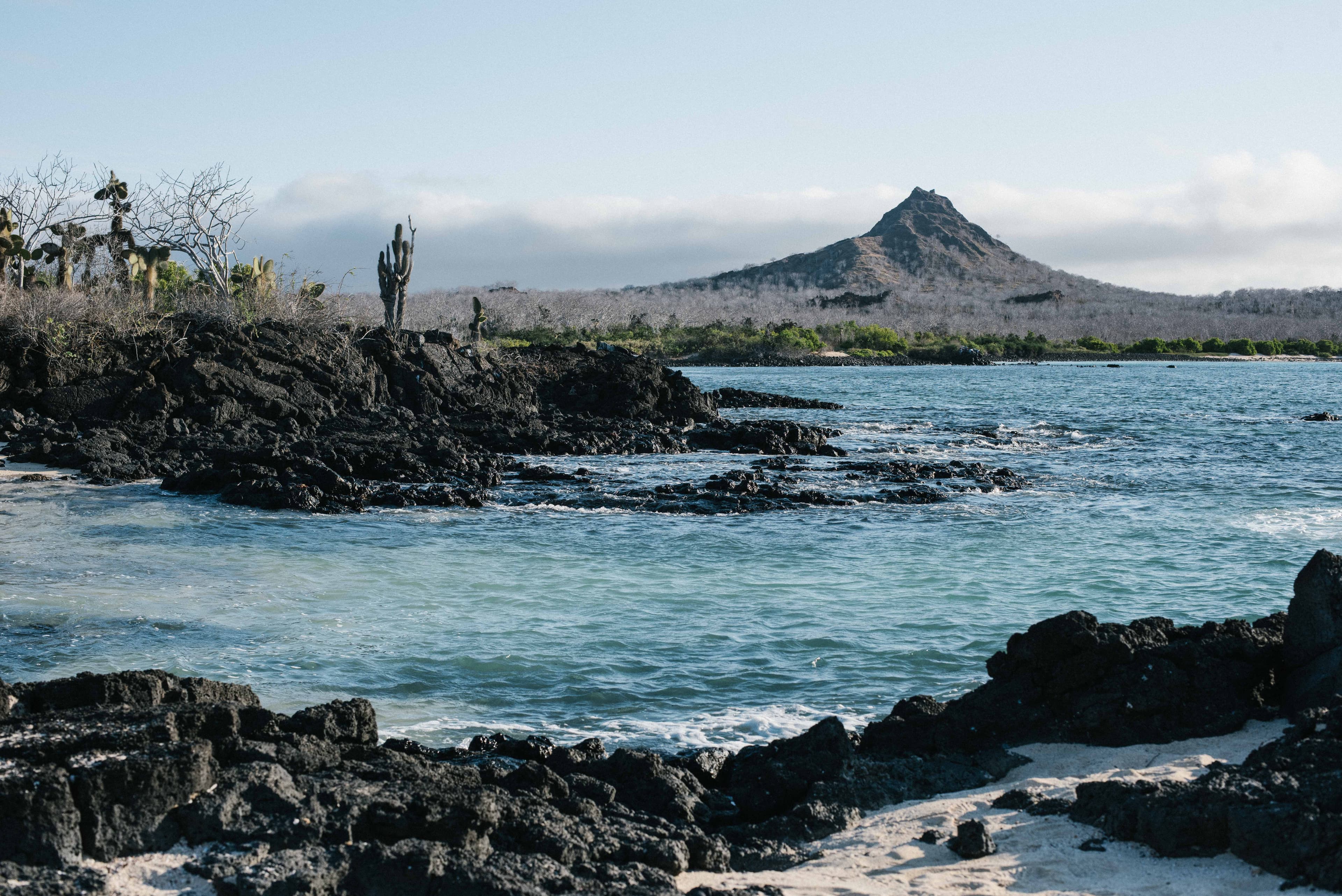 Galápagos